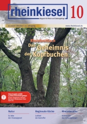 rheinkiesel rheinkiesel
